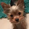 debbiebright16 - @debbiebright16 - TikTok