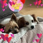 Debbi Britton - Facebook