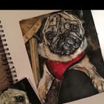 Debbie Britton Pet Portraits 🐾 - @debbiebpetportraits - Instagram