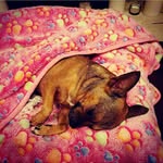 Debbie Brock Denham - @denhamdebbiebrock - Instagram