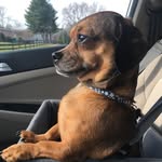 Debbie Morris-Brock - @tigger7922 - Instagram