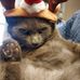 Debbie Hanes Bumgarner - Facebook