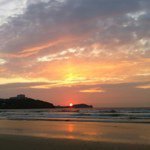 Debbie Bunce - @allotmentqueen - Instagram