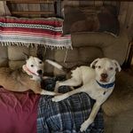 Debbie Burchett - @bsktkpr247 - Instagram