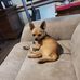 Deborah Burchett - Facebook