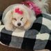 Debbie Burgett - Facebook
