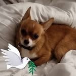 Debbie Burrows - @debs.b1068 - Instagram