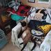 Debbie Burrows - Facebook