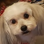 Debbie Busch Huscher - @debbiebuschhuscher - Instagram