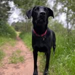 @debbie.button12 - Instagram