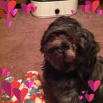Debbie Butts - @champers619 - Instagram