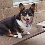 Debbie Butts - @deebeebutts - Instagram