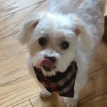 Debbie Butts - @debbiebutts1 - Instagram