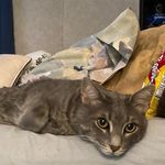 Debbie Byerly - @debbie.byerly.54 - Instagram