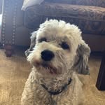 Debbie Byram - @debbie_byram - Instagram