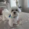 Debbie Cade - @debbie.cade - TikTok