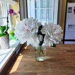 Debbie Cahoon - @dmcahoon - Instagram