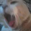 Debbie Calhoun - @debbiecalhoun7 - TikTok