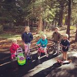 debbiecalhoun - @debbiecalhoun - Instagram