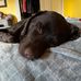 Debi Callaghan - Facebook