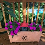Dcamp - @debbiecamp512 - Instagram