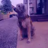 debbiecampos - @debbie_campos - TikTok