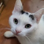 Debbie Carman - @carman455 - Instagram