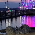 Debbie Lamson Carmody - @debbie.l.carmody - Instagram