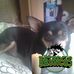 Deb Carrick - Facebook