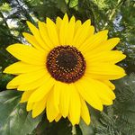 Debbie Carrick - @cardl67 - Instagram