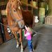 Debbie Carrick - Facebook