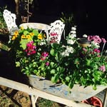 Debbie Case - @debbiecase58 - Instagram