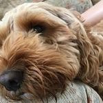 Debbie Casey - @debbie.casey.56 - Instagram