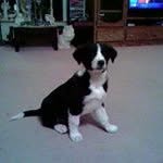 Debbie Cates - @dcates01 - Instagram