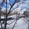 Debbie Caudill - @debbie.caudill7 - TikTok