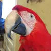 Debbie - @debbiecaudill6 - TikTok