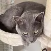 debbiecaudill805 - @debbiecaudill805 - TikTok