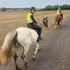 Debbie Cavers - @debbie.cavers1 - TikTok