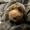 Debbie - @debbie.cavers - TikTok