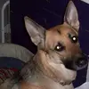 DebDeb_Rawr - @debbieschappell - TikTok
