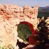 debbiechartier53 - @debbiechartier53 - TikTok