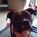 Debbie Chavez - Facebook