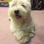 Debbie Chiang - @debbie002500 - Instagram