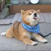 Debbie Chiang - @debbiechiang1 - TikTok