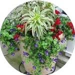 Debbie childers - @debbie_childers71_ - Instagram