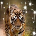Debbie Childs - @debbie.childs.3551 - Instagram