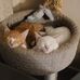 Debbie Chilson - Facebook