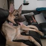 Debbie Chism - @debchism - Instagram