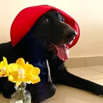 Debbie Colette Christopher - @colettechristopher - Instagram