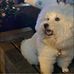 Debbie Chong - Facebook